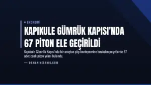 Kapıkule Gümrük Kapısı’nda 67 piton ele geçirildi