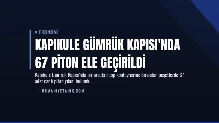 Kapıkule Gümrük Kapısı’nda 67 piton ele geçirildi