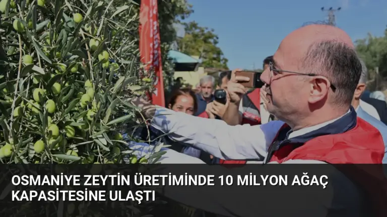 Osmaniye Zeytin Üretiminde 10 Milyon Ağaç Kapasitesine Ulaştı