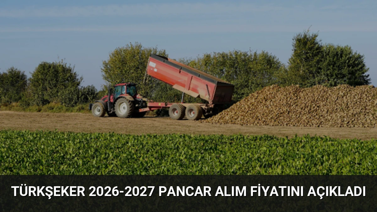 TÜRKŞEKER 2026-2027 Pancar Alım Fiyatını Açıkladı