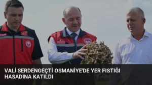 Vali Serdengeçti Osmaniye’de Yer Fıstığı Hasadına Katıldı